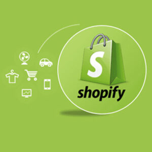 Shopify website design
